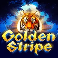 Goldenstripe на Чемпіон